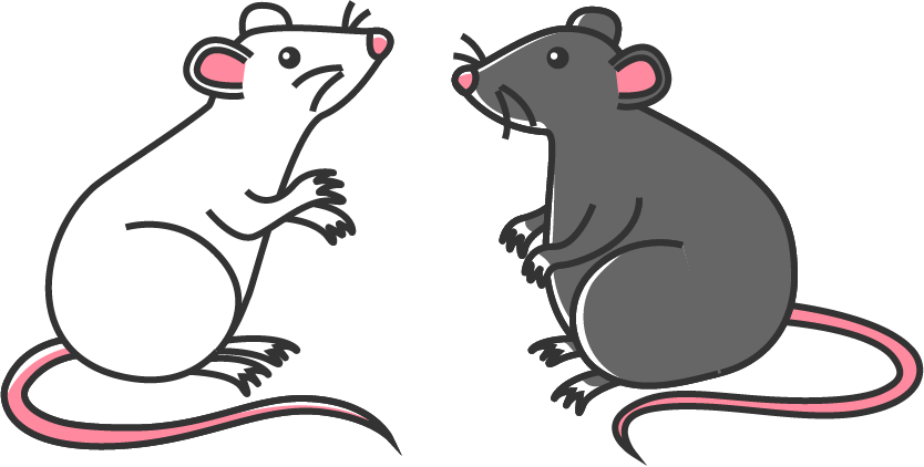 A black mouse and a white mouse.